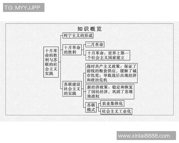 上海排球队的战术运营体系解析与实践探索