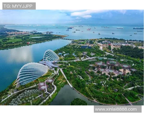 重庆足球队整体压制革新之路探秘与未来展望